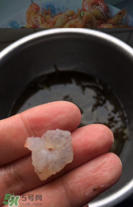 河蝦可以放冰箱嗎？河蝦在冰箱能放幾天？