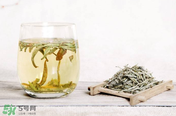 白毫銀針屬于綠茶嗎？白毫銀針是什么茶？