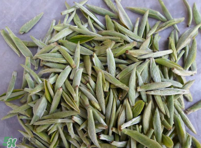 白毫銀針屬于綠茶嗎？白毫銀針是什么茶？