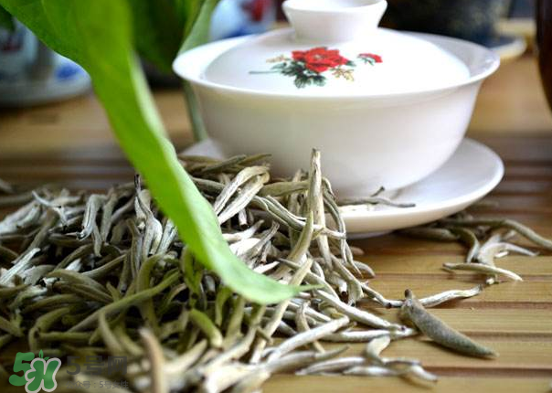 白茶需要洗茶嗎？白茶是洗還是不洗？