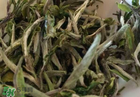 白茶需要洗茶嗎？白茶是洗還是不洗？