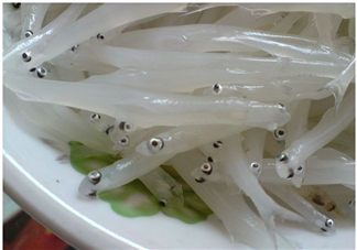 銀魚怎么保存？銀魚可以放在冰箱冷凍保存嗎？