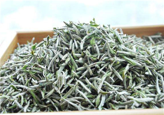 白毫銀針的產(chǎn)地在哪個(gè)??？白毫銀針是哪里產(chǎn)的？