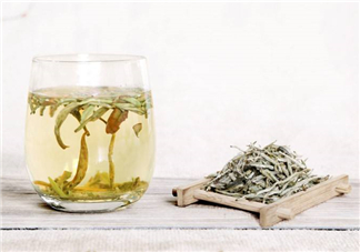 白毫銀針屬于綠茶嗎？白毫銀針是什么茶？
