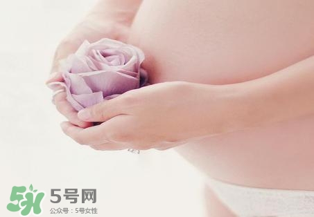 青刺果油能去妊娠紋嗎？青刺果油的功效與作用