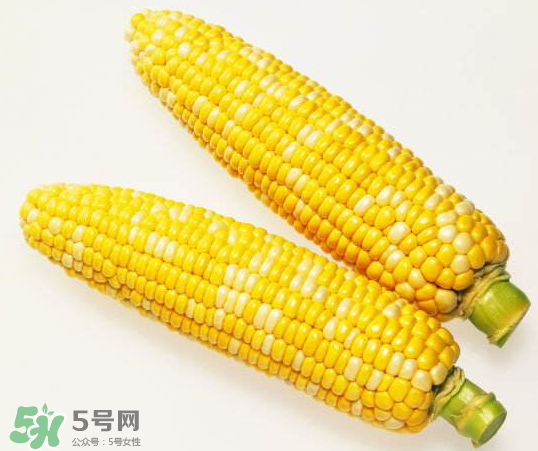九月份能種玉米嗎？玉米九月份還可以種嗎？
