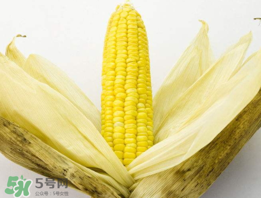九月份能種玉米嗎？玉米九月份還可以種嗎？