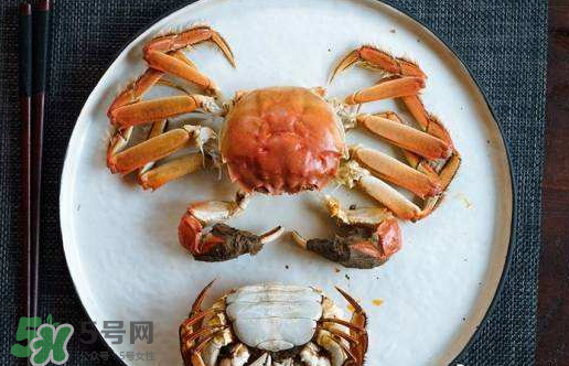 啤酒蒸大閘蟹好吃嗎？啤酒蒸大閘蟹怎么吃？
