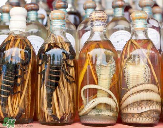 毒蛇泡酒有毒嗎？毒蛇泡酒能喝嗎？