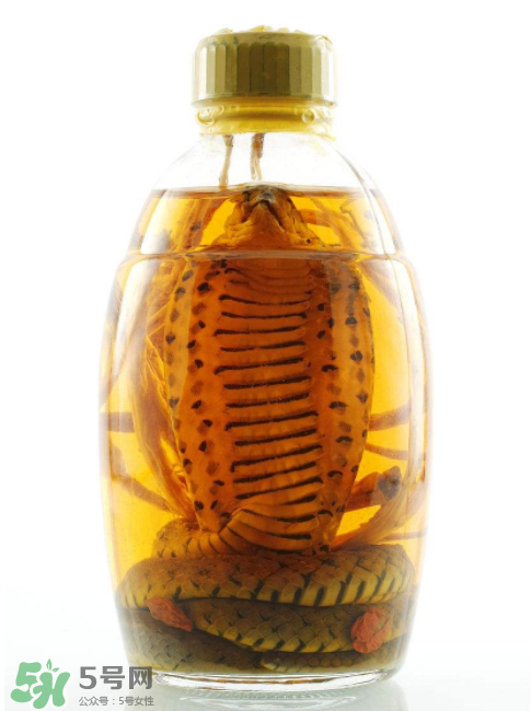 毒蛇泡酒有毒嗎？毒蛇泡酒能喝嗎？