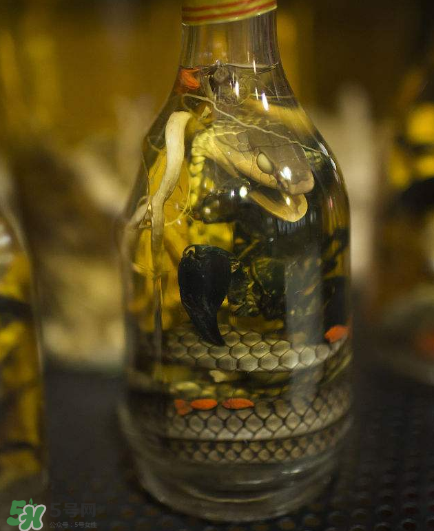 毒蛇泡酒有毒嗎？毒蛇泡酒能喝嗎？
