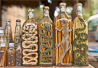 毒蛇泡在酒里為什么不死？毒蛇泡酒不死是什么原因？