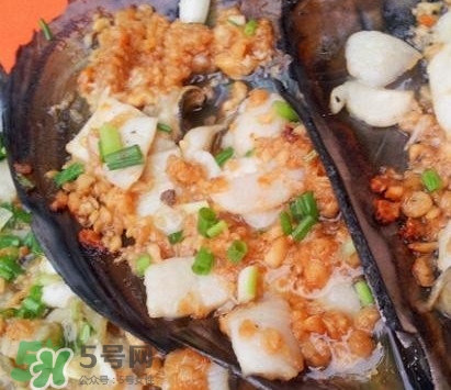 帶子是什么海鮮？帶子是什么東西