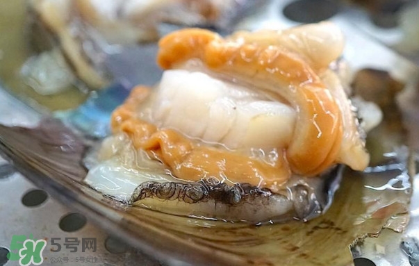 帶子哪里不能吃？帶子有什么營養(yǎng)價值