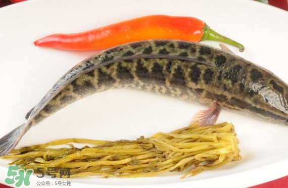黑魚和草魚哪個好吃？黑魚不適合什么人吃
