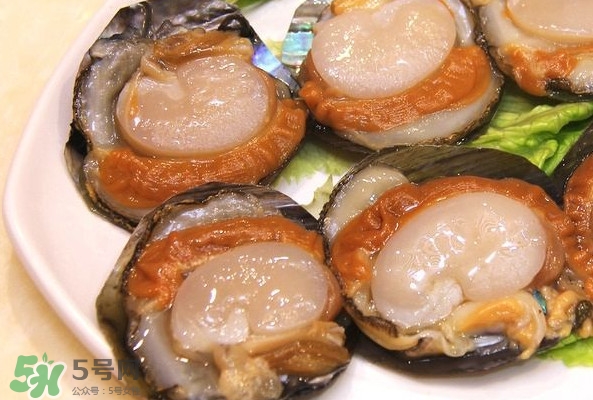 帶子是什么海鮮？帶子是什么東西