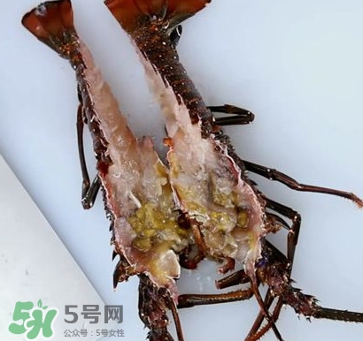 波士頓龍蝦怎么去蝦線？波士頓龍蝦怎么清洗