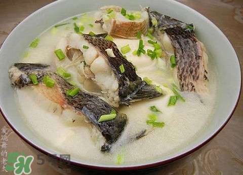 黑魚湯是發(fā)物嗎？黑魚湯可以放香菇嗎