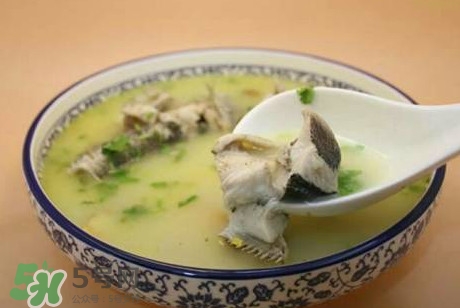 黑魚湯下奶嗎？黑魚湯是下奶還是回奶