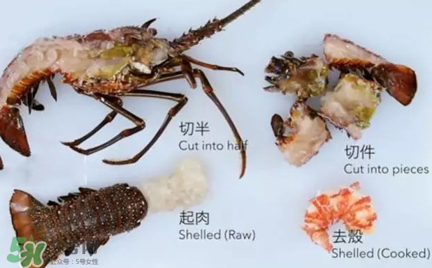 波士頓龍蝦有多大？波士頓龍蝦怎樣去殼