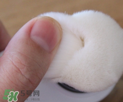 neogen妮珍面膜怎么樣？冷門性價比高的面膜