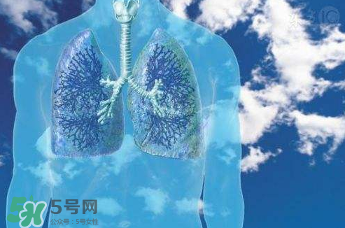 秋季如何護(hù)肺？秋季護(hù)肺小妙招