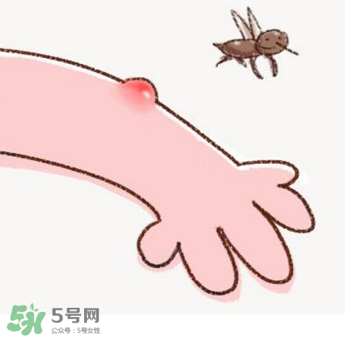 秋天有蚊子嗎？秋天有蚊子怎么辦？