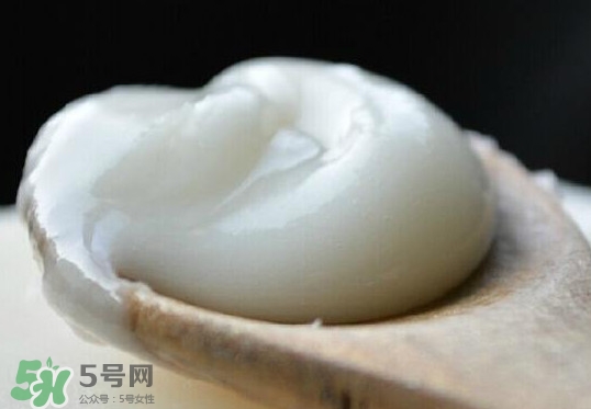 椴樹蜜可以泡檸檬嗎？椴樹蜜放冰箱冷藏好還是冷凍好