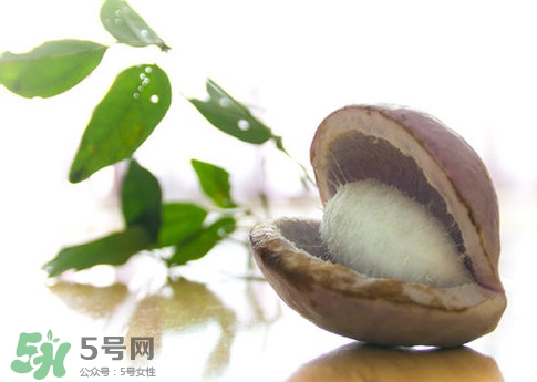 八月瓜的皮可以吃嗎？八月瓜的皮有什么功效