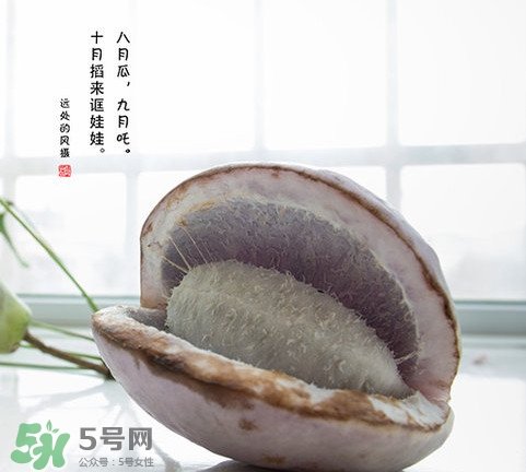 八月瓜可以泡酒嗎？八月瓜可以治乙肝嗎