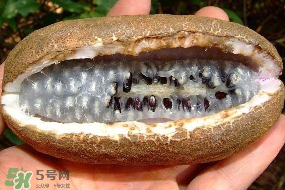 八月瓜能吃嗎？八月瓜到底有什么價(jià)值？