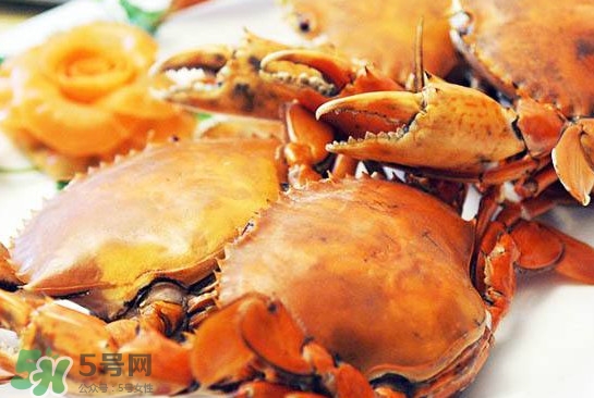 黃油蟹怎么處理？青蟹與黃油蟹有什么區(qū)別