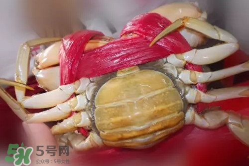 黃油蟹是海蟹嗎？黃油蟹是如何進化的