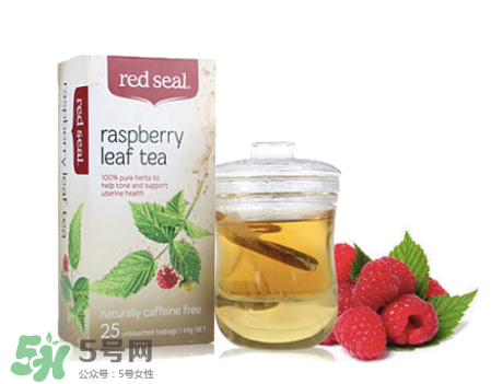 Red Seal紅印覆盆子茶怎么樣？Red Seal紅印覆盆子茶怎么喝？