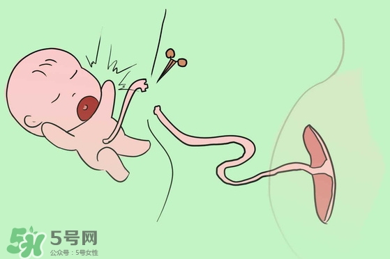 寶寶臍帶什么時候脫落？寶寶臍帶脫落后怎么護理？