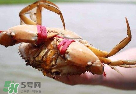 黃油蟹的選蟹標準是什么？黃油蟹的等級分類