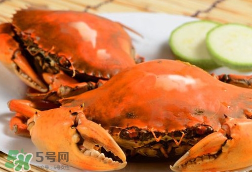 黃油蟹的選蟹標準是什么？黃油蟹的等級分類