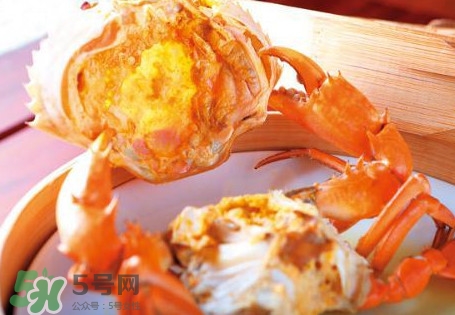 黃油蟹是什么蟹？黃油蟹多少錢一只