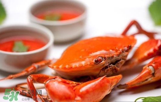 黃油蟹是海蟹嗎？黃油蟹是如何進化的