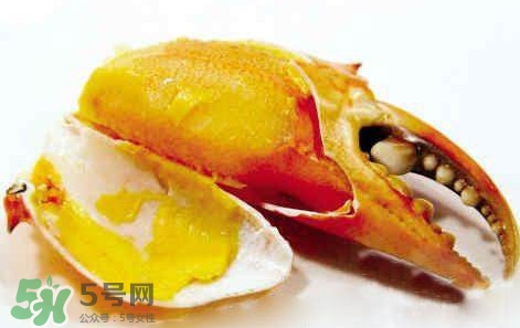 黃油蟹放冰箱能放多久？黃油蟹怎么挑選