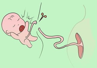 寶寶臍帶什么時(shí)候脫落？寶寶臍帶脫落后怎么護(hù)理？