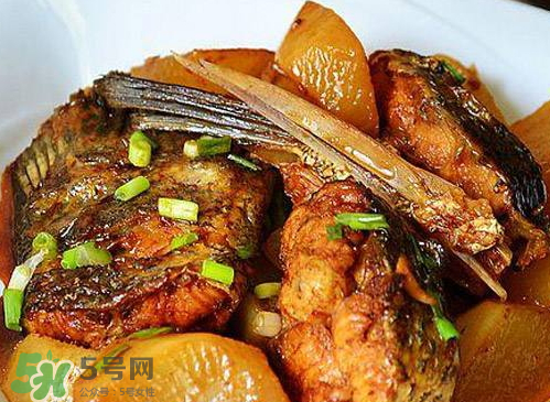 鱸魚(yú)可以紅燒嗎？鱸魚(yú)清蒸還是紅燒好吃？