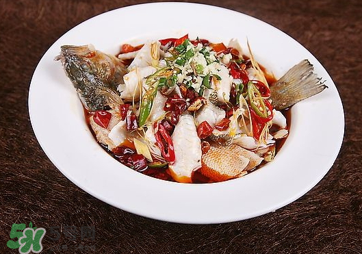 鱸魚(yú)可以做酸菜魚(yú)嗎？鱸魚(yú)可以做水煮魚(yú)嗎？