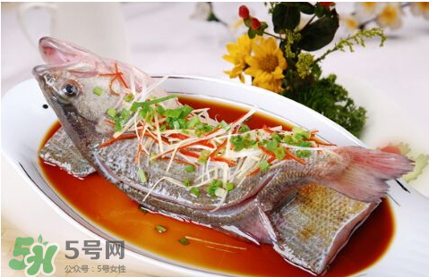 鱸魚為什么沒有刺？鱸魚為什么刺少？