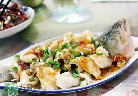 鱸魚為什么沒有刺？鱸魚為什么刺少？