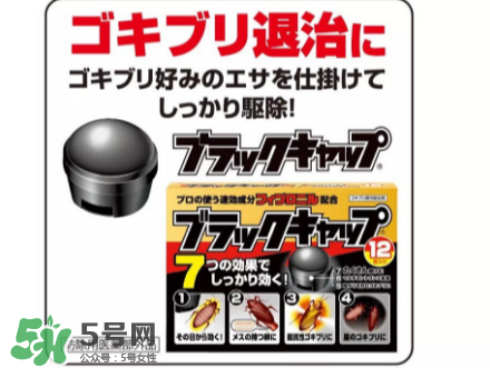 日本蟑螂藥好用嗎？日本蟑螂藥效果評測