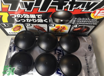 日本蟑螂藥哪里買(mǎi)得到？