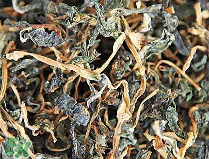 梅干菜是哪里的特產(chǎn)？梅干菜是發(fā)物嗎