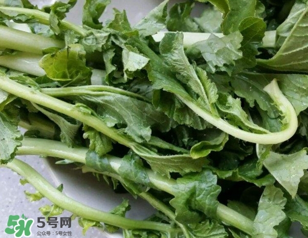 蘿卜纓能吃嗎？蘿卜纓怎么做好吃