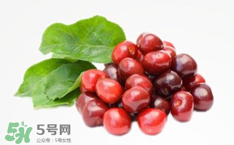 蔓越莓什么時(shí)候成熟？蔓越莓什么時(shí)候吃最好